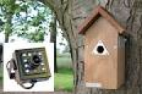 Nest Box Camera System - Hi ...