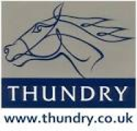Thundry Farm Livery & Training Yard - Elstead, Surrey - Horse Scout