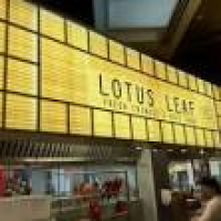 Photo of Lotus Leaf - London, ...