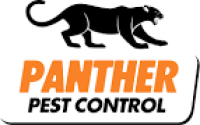 Mice Control London | Experienced Mice Exterminators| Panther Pest ...