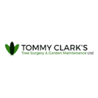 Tommy Clark's Tree Surgery & Garden Maintenance LTD - Tree ...