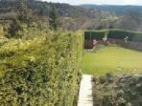 Hedge cutting in Guildford, Surrey – Fix It Surrey