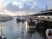 North Shields Fish Quay