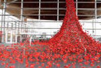 Can you buy the poppies from the Weeping Window display at the ...