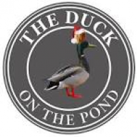 CW - Duck On The Pond (Web ...