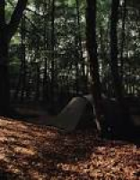 Woodland Camping Eco, Ashwood Farm, West Hoathly Road, East ...