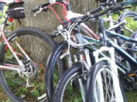 Bicycle Hire in Marlborough,