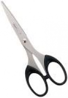 Rapesco Scissors - 16cm, Black: Amazon.co.uk: Office Products