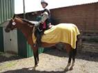 Breach Lane Equine Centre - Horse Riding