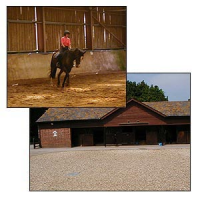 Tollard Park Equestrian Centre