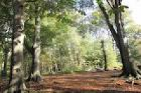Parks and countryside | Bracknell Forest Council
